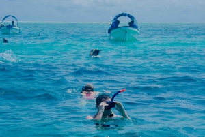 Atol de Mnemba: passeio com golfinhos e mergulho com snorkel