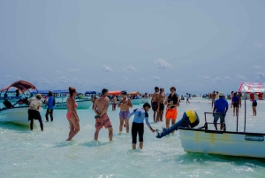 Atol de Mnemba: passeio com golfinhos e mergulho com snorkel