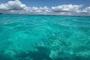 Atol de Mnemba: passeio com golfinhos e mergulho com snorkel