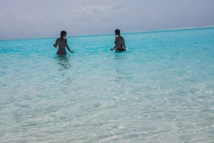 Atol de Mnemba: passeio com golfinhos e mergulho com snorkel