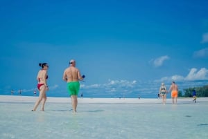 Atol de Mnemba: passeio com golfinhos e mergulho com snorkel