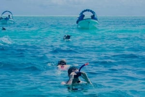 Atol de Mnemba: passeio com golfinhos e mergulho com snorkel