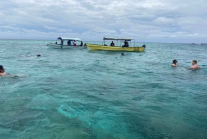 WYCIECZKA MNEMBA DOLPHIN TOUR, AKWARIUM LAGUNA I PLAŻA KENDWA