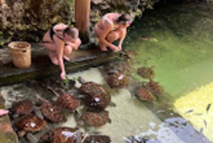 WYCIECZKA MNEMBA DOLPHIN TOUR, AKWARIUM LAGUNA I PLAŻA KENDWA