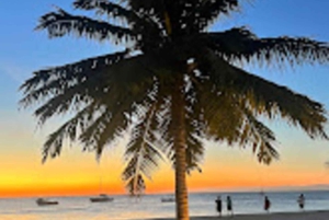 WYCIECZKA MNEMBA DOLPHIN TOUR, AKWARIUM LAGUNA I PLAŻA KENDWA