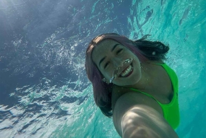 Avistamiento de delfines en Mnemba y aventura en la isla Prison con almuerzo