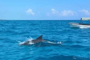 Avistamiento de delfines en Mnemba y aventura en la isla Prison con almuerzo