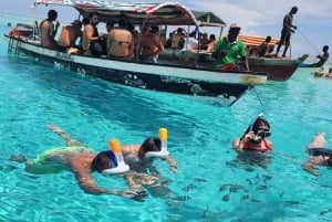 Avistamiento de delfines en Mnemba y aventura en la isla Prison con almuerzo