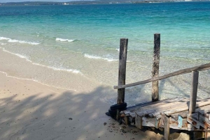 Avistamiento de delfines en Mnemba y aventura en la isla Prison con almuerzo