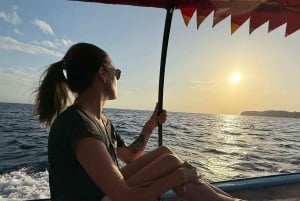 Avistamiento de delfines en Mnemba y aventura en la isla Prison con almuerzo