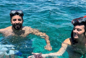 Avistamiento de delfines en Mnemba y aventura en la isla Prison con almuerzo