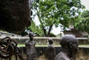 Mnemba Dolphin Watching+Turtle Sanctuary+Stone town+LUNCH