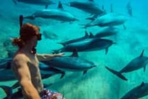 Zanzíbar: tour en barco a la isla de Mnemba, tortugas y The Rock