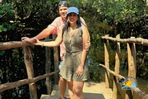 Mnemba Dolphins Tour, Jozani Forest and The Rock Restaurant