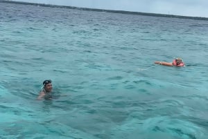 Mnemba pohjois- ja itäpuolelta, puoli päivää