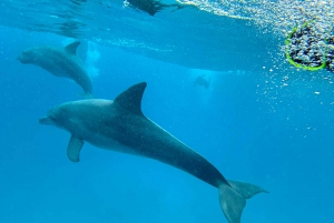 Mnemba pohjois- ja itäpuolelta, puoli päivää