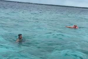 Mnemba z północy i wschodu pół dnia