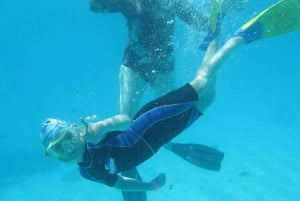 Zanzibar: zwem, voer en maak contact met schildpadden in Salam Cave