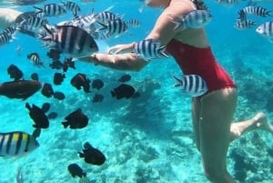 Caminhada de um dia ao Monte Kilimanjaro pela rota Machame, sem taxas ocultas