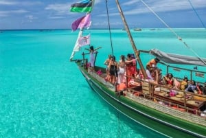 Caminhada de um dia ao Monte Kilimanjaro pela rota Machame, sem taxas ocultas