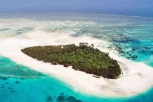 ZANZIBAR'Mnemba island, Stone town and Sea turtles Sanctuary