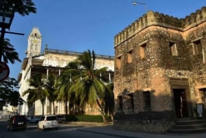 ZANZIBAR'Mnemba island, Stone town and Sea turtles Sanctuary