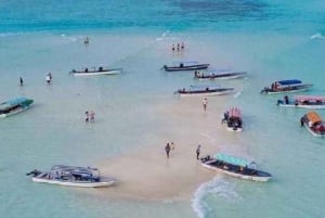 ZANZIBAR'Mnemba island, Stone town and Sea turtles Sanctuary