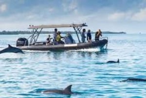 ZANZIBAR'Mnemba island, Stone town and Sea turtles Sanctuary