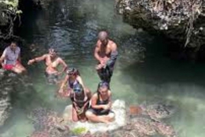 ZANZIBAR: Mnemba island, Baraka aquarium and spice farm