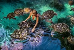ZANZIBAR: Mnemba island, Baraka aquarium and spice farm