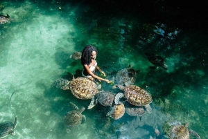 ZANZIBAR: Mnemba island, Baraka aquarium and spice farm