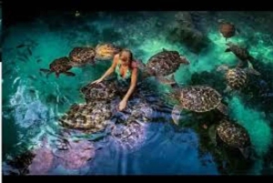 ZANZIBAR: Mnemba island, Baraka aquarium and spice farm