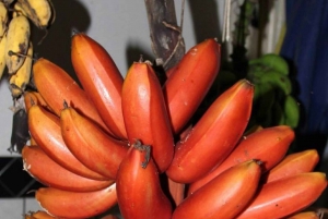 ZANZIBAR: Mnemba island, Baraka aquarium and spice farm