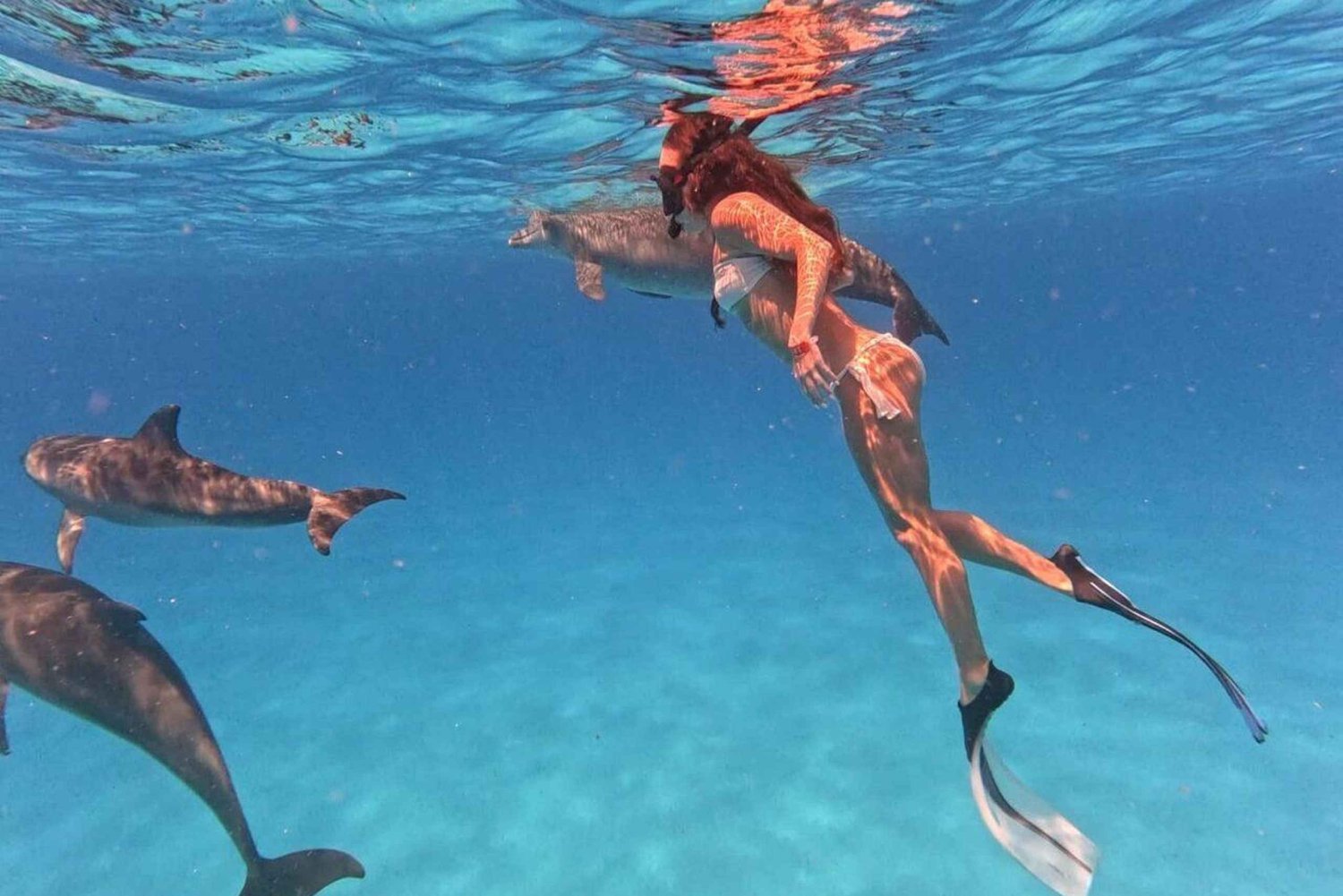 Mnemba-eiland: dolfijnen spotten, zwemmen en snorkelen