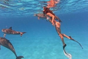 Mnemba-eiland: dolfijnen spotten, zwemmen en snorkelen