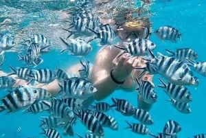 Mnemba Island Dolphin + Snorkel, Kuza Cave & Rock Restaurant