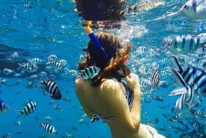 Mnemba Island Dolphin + Snorkel, Kuza Cave & Rock Restaurant