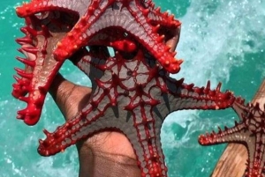 Mnemba Island Dolphin + Snorkel, Kuza Cave & Rock Restaurant