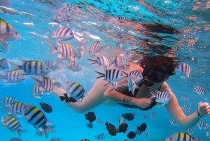 Mnemba Island Dolphin + Snorkel, Kuza Cave & Rock Restaurant