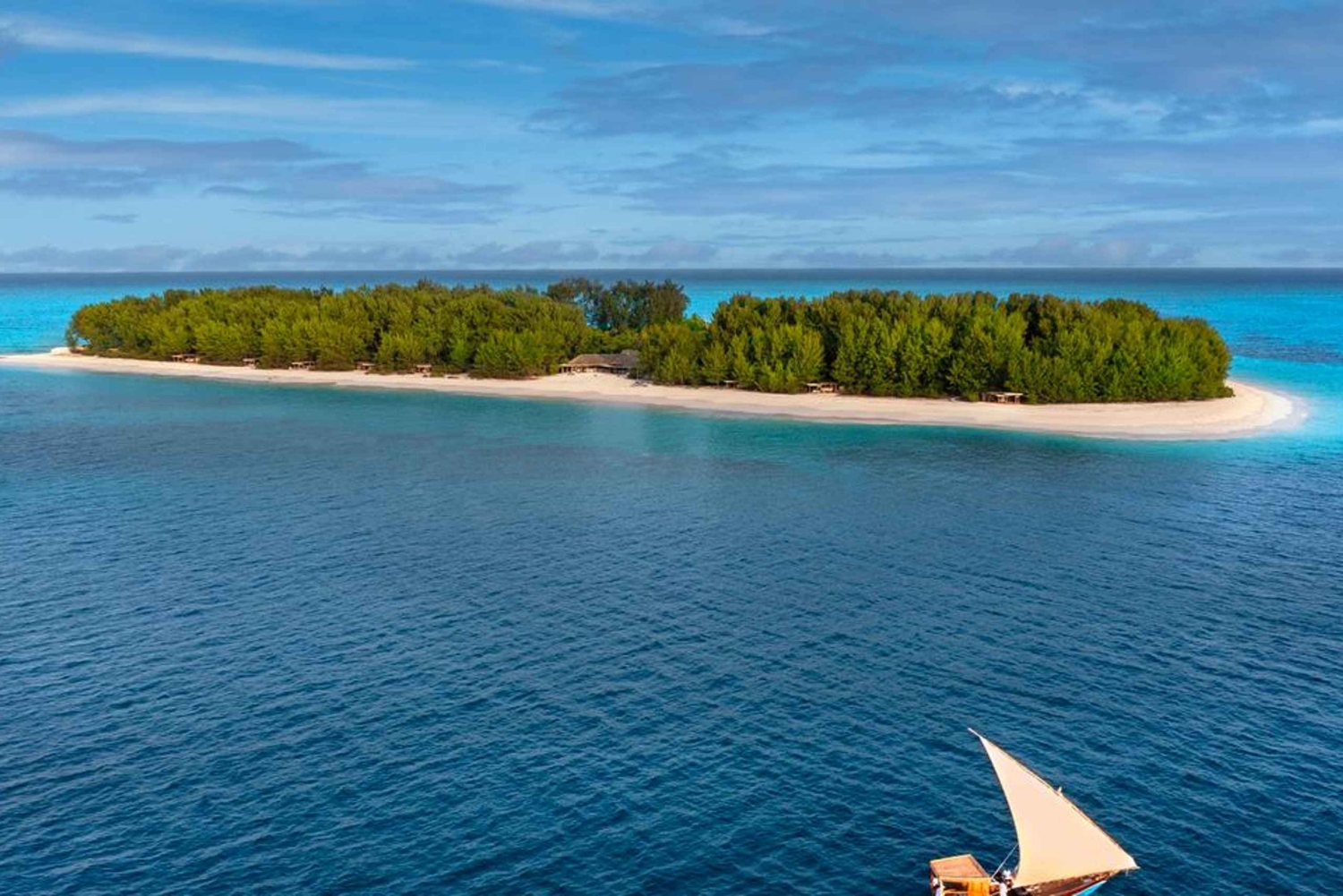 Wyspa Mnemba: pływanie z delfinami, nurkowanie i wycieczka na ławicę piaszczystą