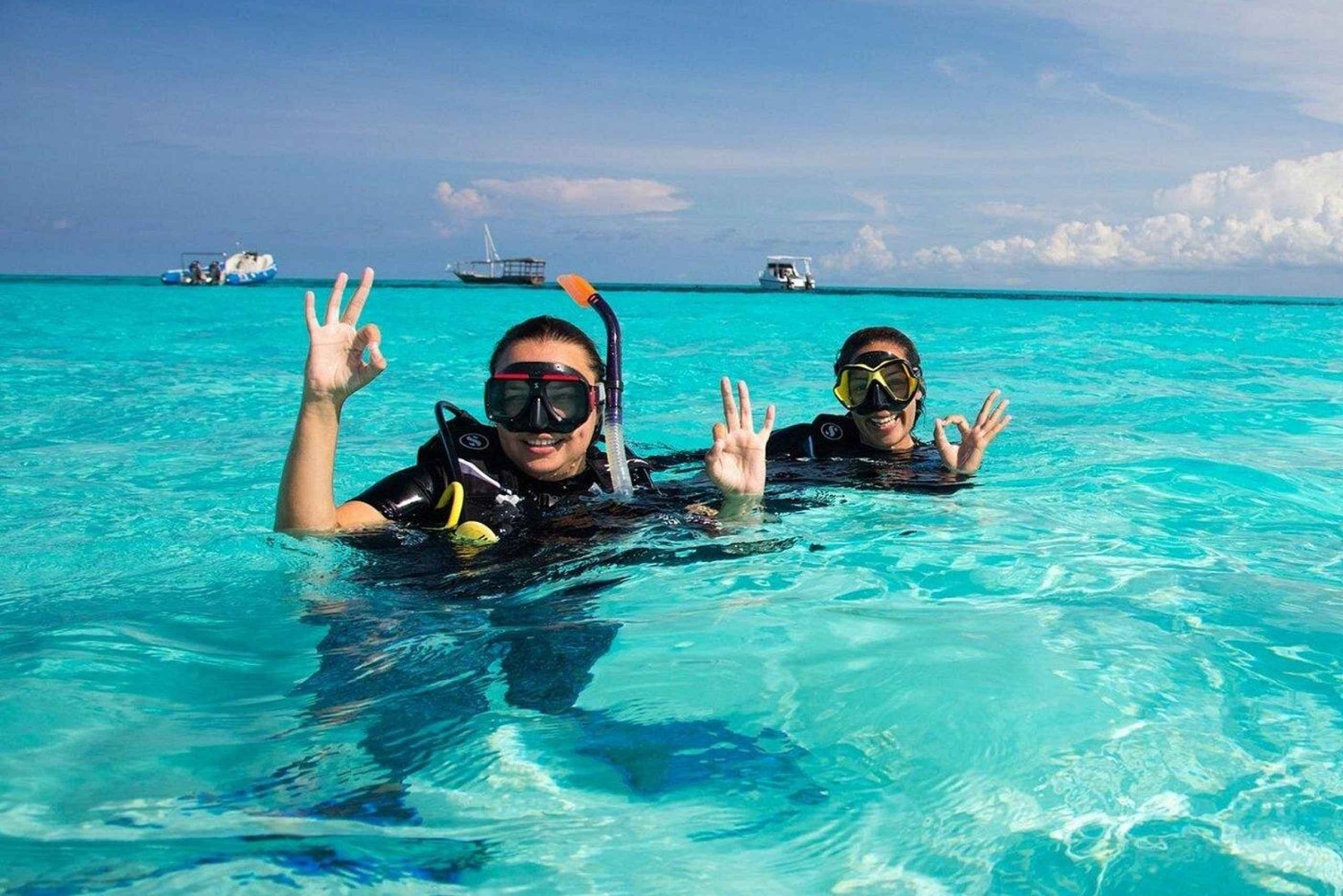 Wyspa Mnemba: pływanie z delfinami, nurkowanie i wycieczka na ławicę piaszczystą