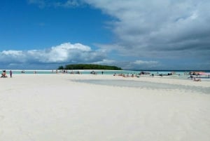 メネンバ島：イルカと泳いでシュノーケリングを体験する日帰りツアーをお楽しみください