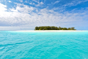 Tour de delfines en la isla de Mnemba, playa de Kendwa con paseo en barco al atardecer