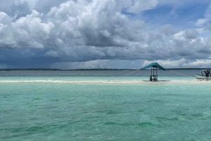 Tour de delfines en la isla de Mnemba, playa de Kendwa con paseo en barco al atardecer