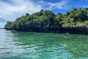 Tour de delfines en la isla de Mnemba, playa de Kendwa con paseo en barco al atardecer