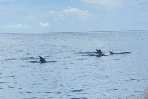 Tour de delfines en la isla de Mnemba, playa de Kendwa con paseo en barco al atardecer