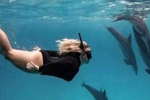 Wyspa Mnemba: rejs wycieczkowy z obserwacją delfinów i nurkowaniem z rurką