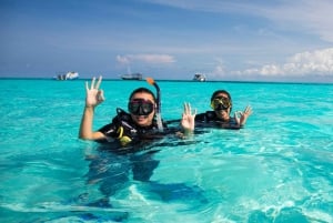 Wyspa Mnemba: rejs wycieczkowy z obserwacją delfinów i nurkowaniem z rurką