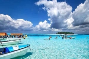 Wyspa Mnemba: rejs wycieczkowy z obserwacją delfinów i nurkowaniem z rurką