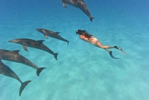 Wyspa Mnemba: rejs wycieczkowy z obserwacją delfinów i nurkowaniem z rurką